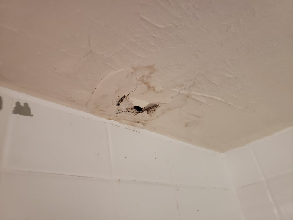 Executive Suites & Hotel