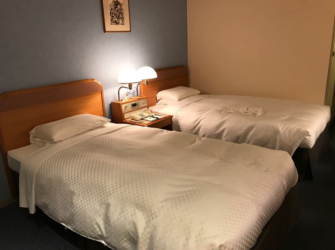 佐贺市酒店住宿-佐贺新大谷酒店
