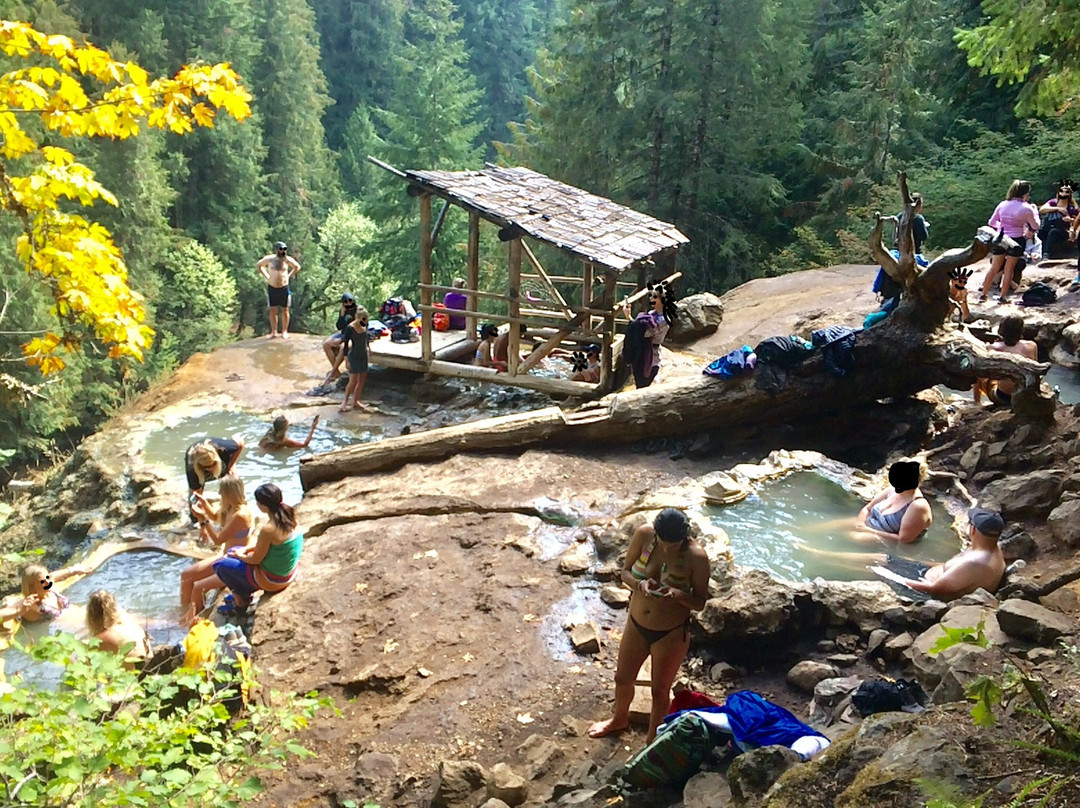 Umpqua Hot Springs-罗斯堡必去景点