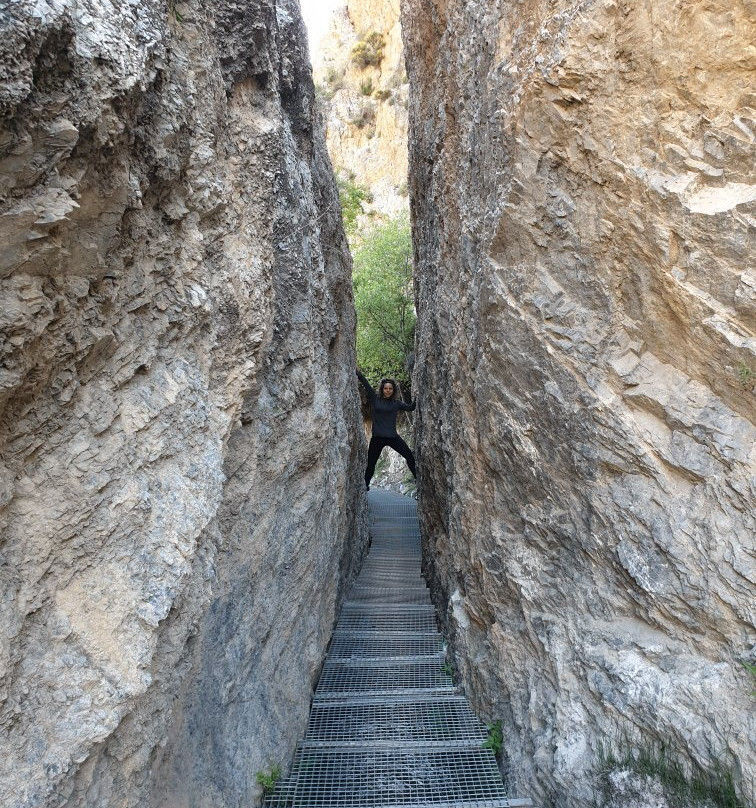 Mirador de La Pavilla景点图片