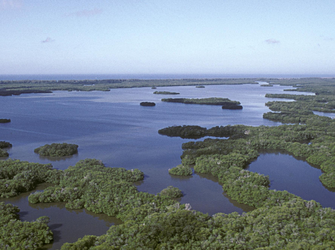 Rookery Bay National Estuarine Research Reserve