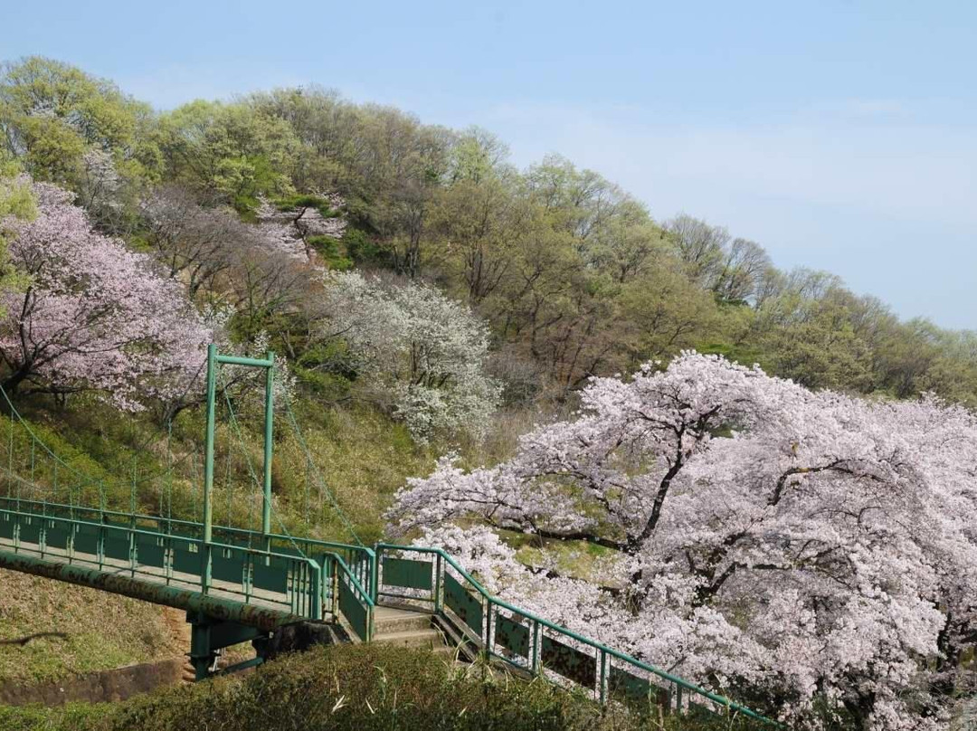 Orihime Park景点图片