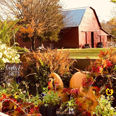 Baker Buffalo Creek Vineyard-Lawndale必去景点