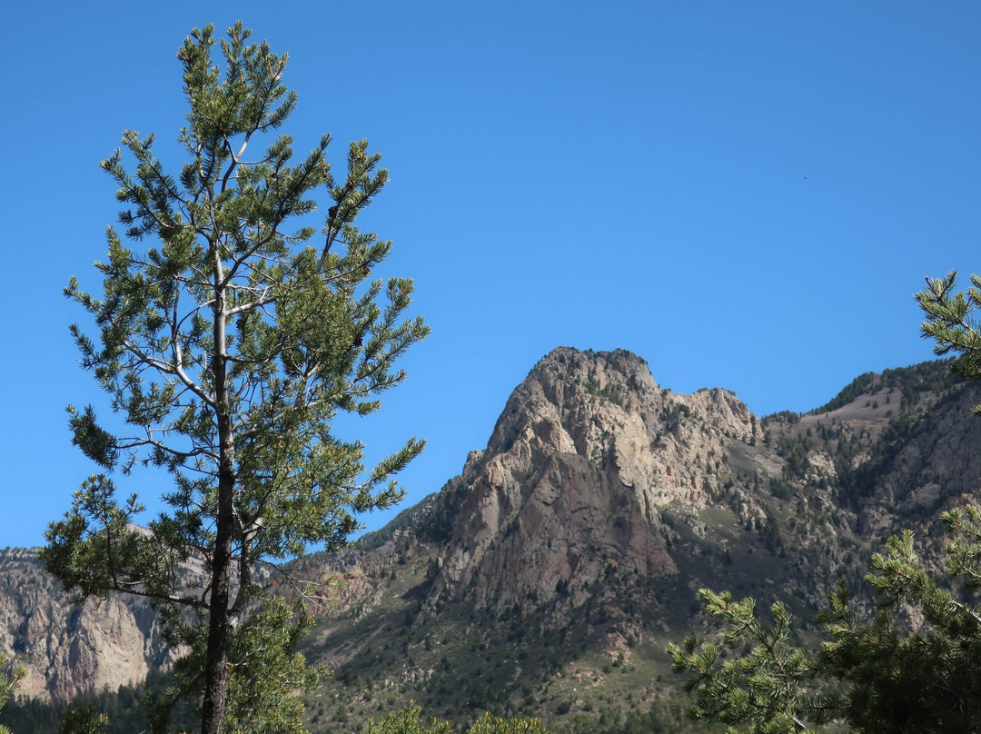 Pino Canyon-Tijeras必去景点