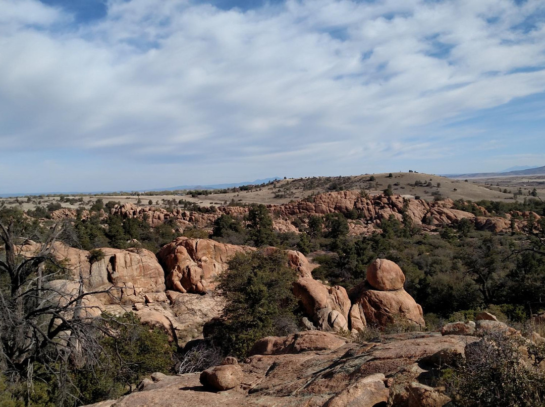 Constellation Trails