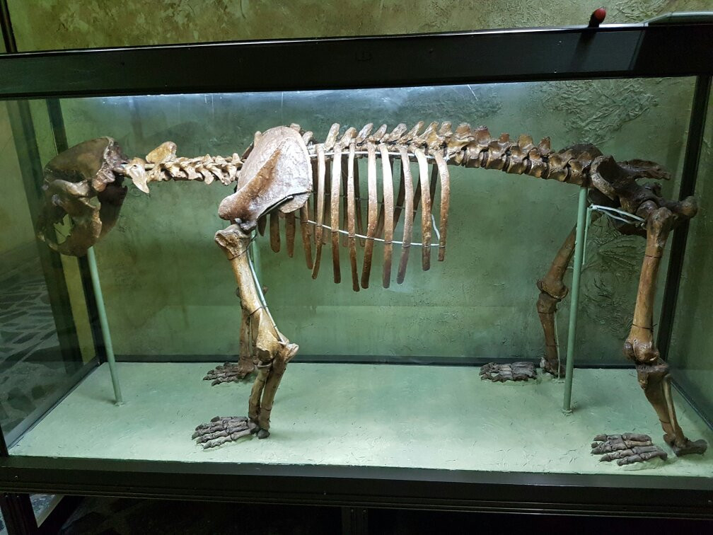 Straseni旅游景点-Museum of History and Ethnography of Calarasi town