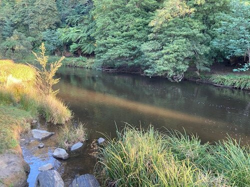 Warburton Picnic Park