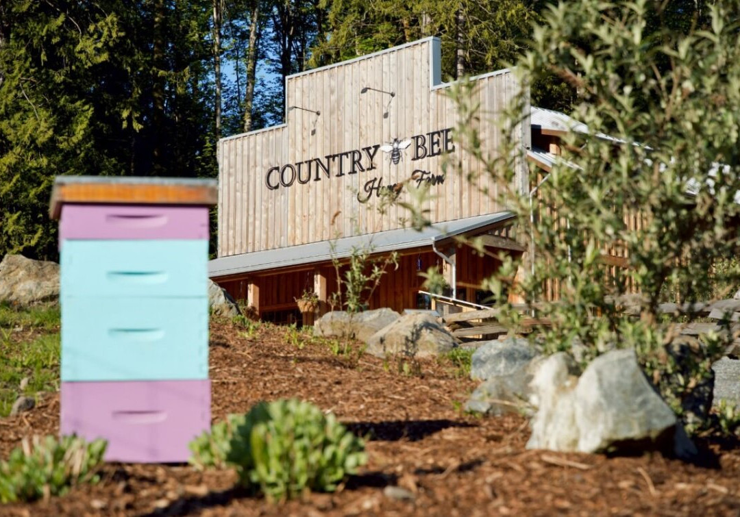 Country Bee Honey Farm景点图片