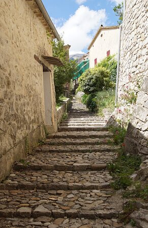 Sentier Botanique de Brantes景点图片