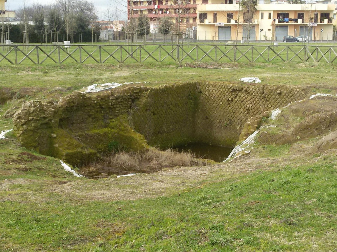 Parco Urbano Camaldoli Sud景点图片