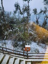 Woodsmoke Retreat主图