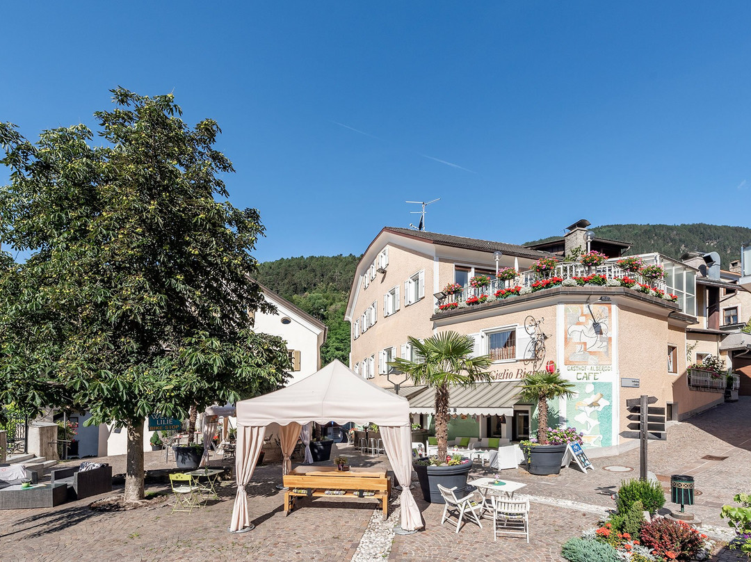 Rio di Pusteria酒店住宿-Hotel Weisse Lilie - Giglio Bianco