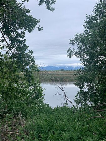 Wood River Wetland-克拉马斯福尔斯必去景点