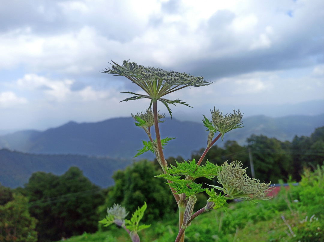 Travel Tales-古尔冈必去景点