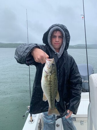 Capt. Ricks Guide Service Table Rock Lake-斯普林菲尔德必去景点