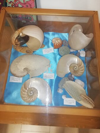 Museo delle Conchiglie-Roseto Capo Spulico必去景点