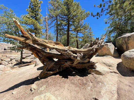 Castle Rock Trail-大熊湖必去景点