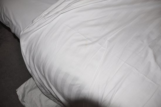 The Abbey Hotel主图