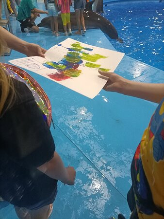 Dolphinarium Nemo-Dzhubga必去景点