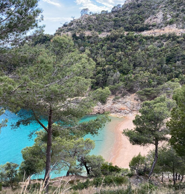 Cala Pola景点图片