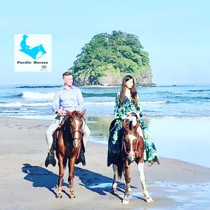 Pacific Horses景点图片