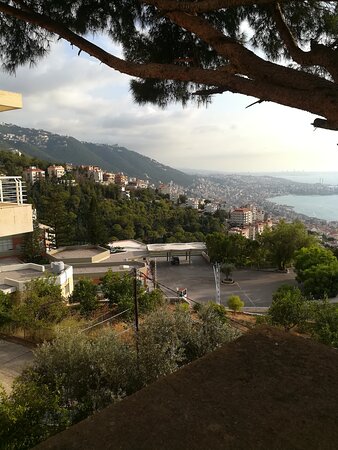 Beit Wadih-官方