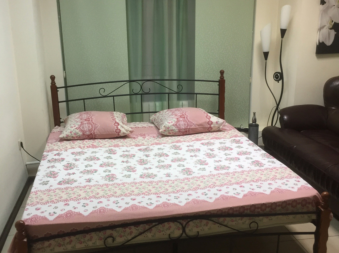 Osinovo酒店住宿-Voyazh