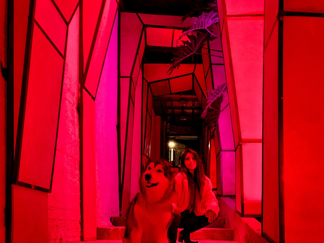 Bavel TLV-特拉维夫必去景点