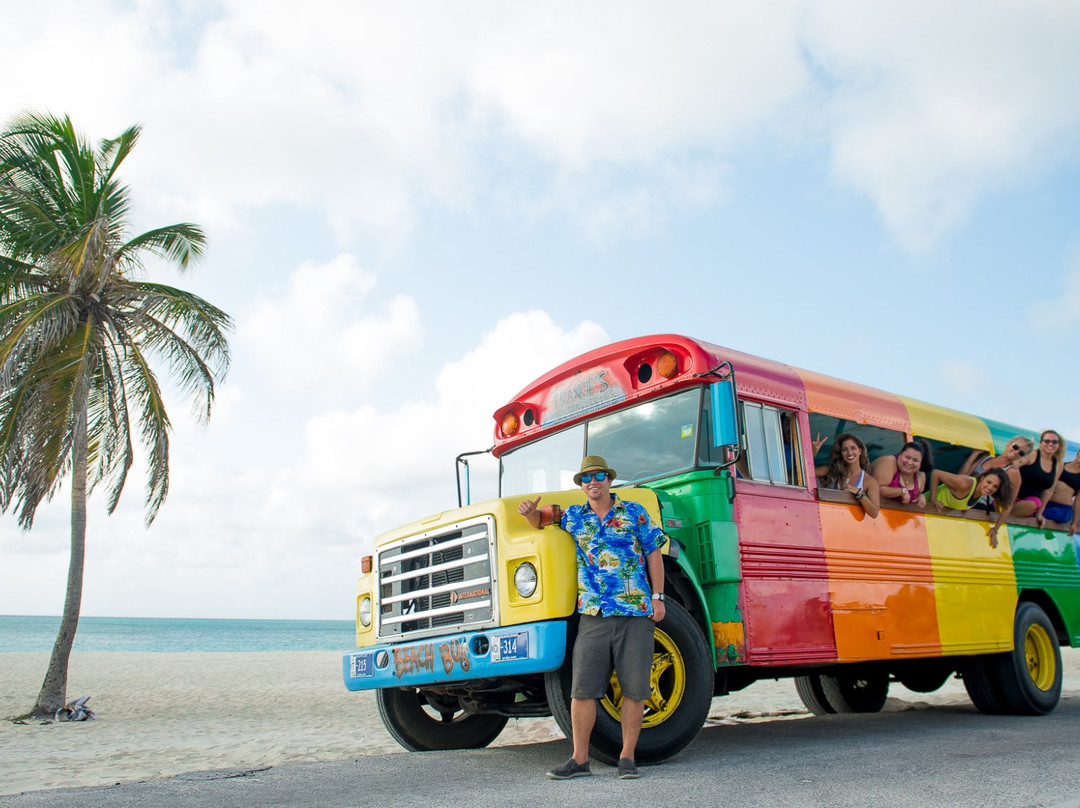 RockaBeach Tours-奥腊涅斯塔德必去景点