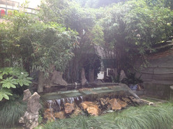 Gallery 1