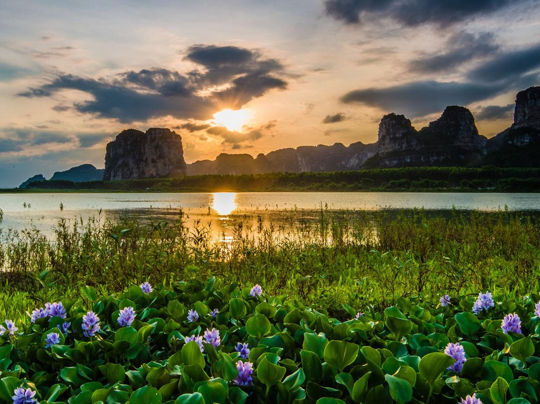 毛塘湿地公园景点图片