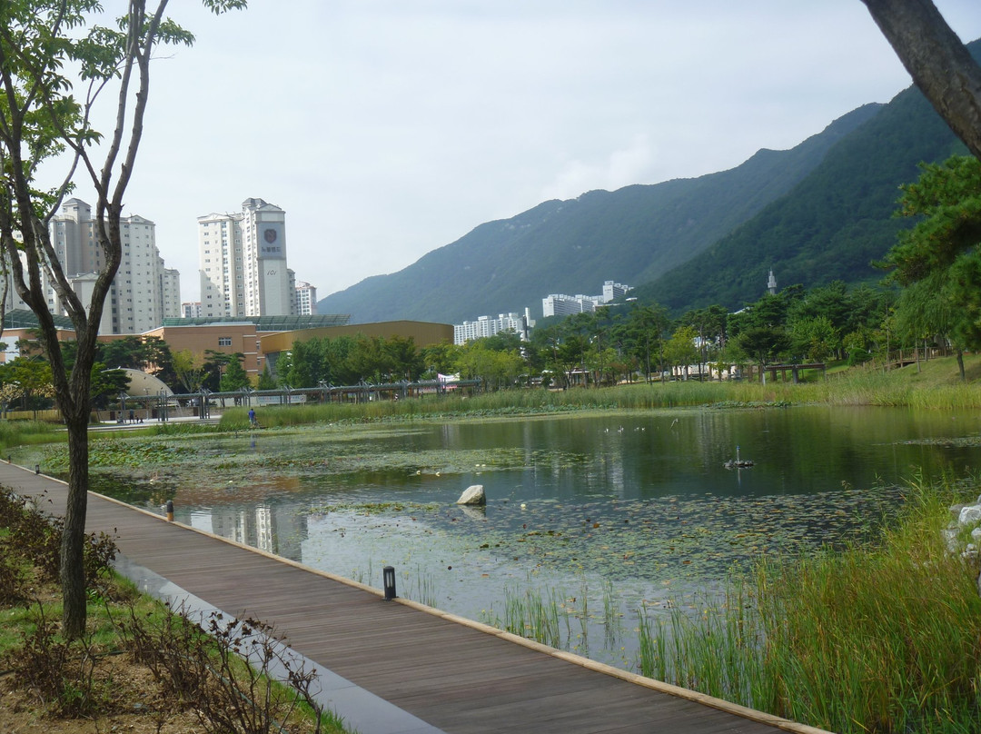 Yangsan Water Park景点图片