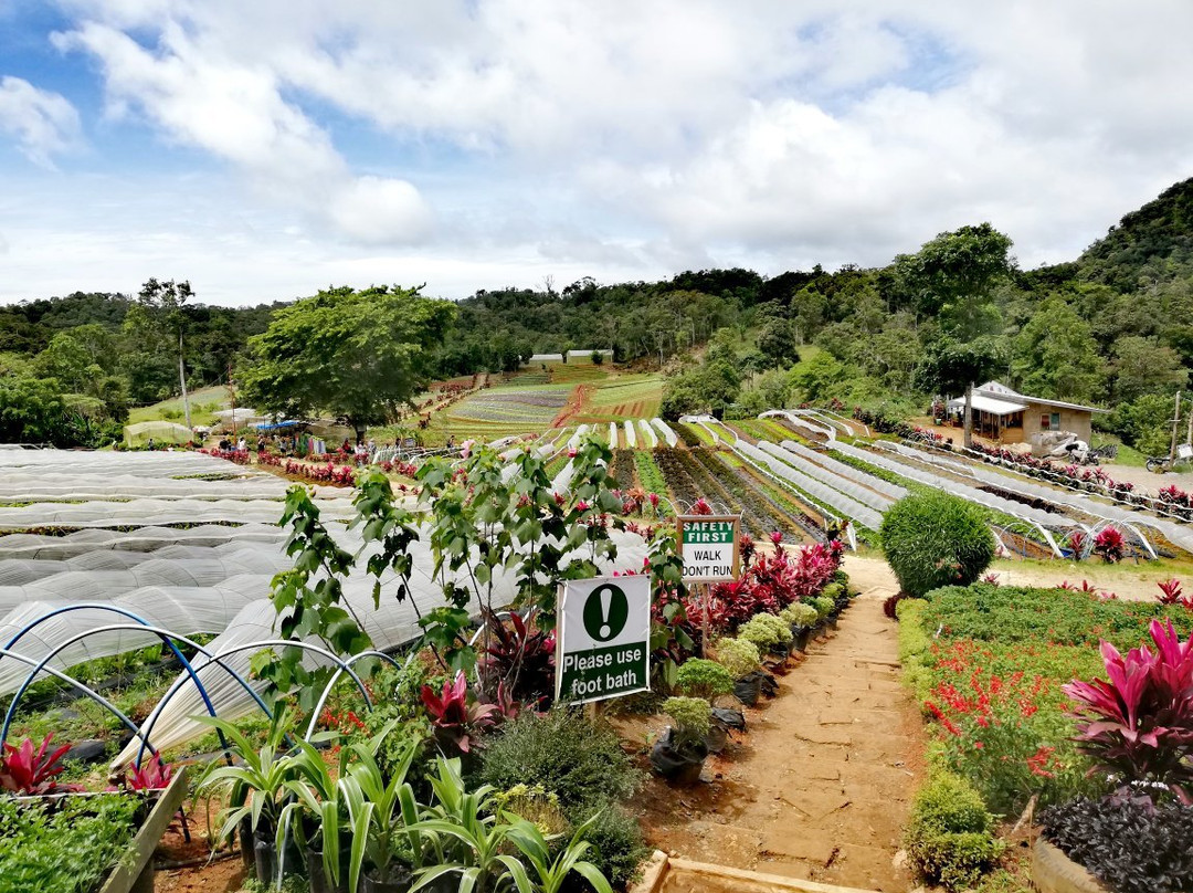 BEMWA Farm景点图片