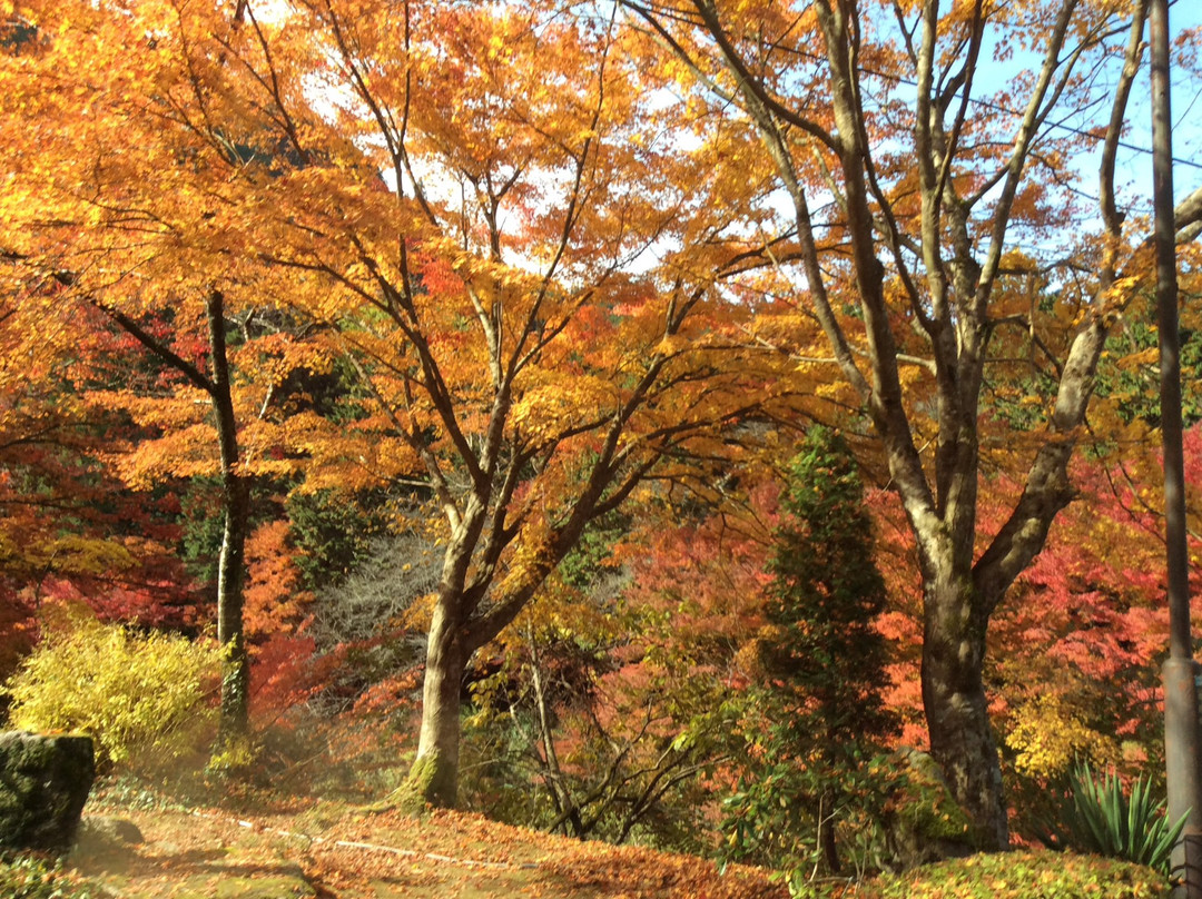 Mount Ushiro景点图片