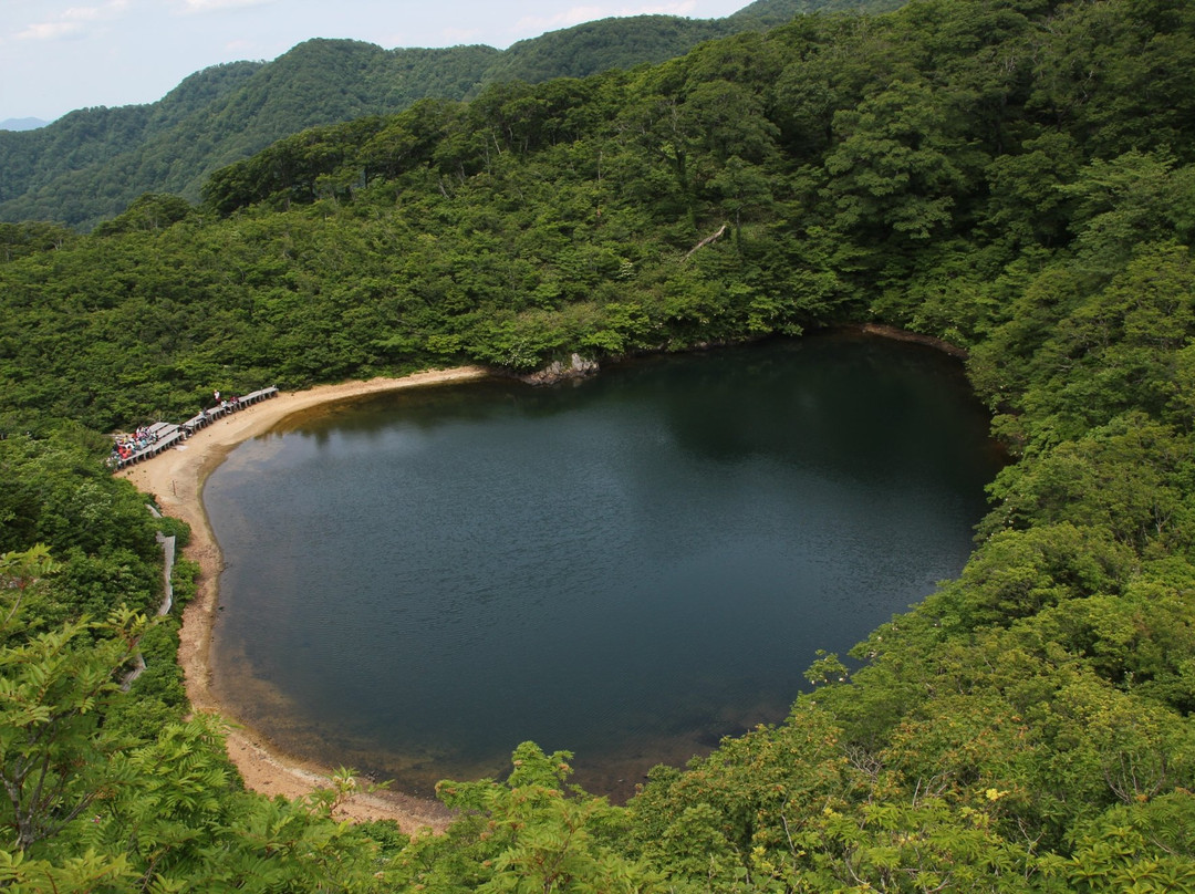 Yashagaike Pond景点图片