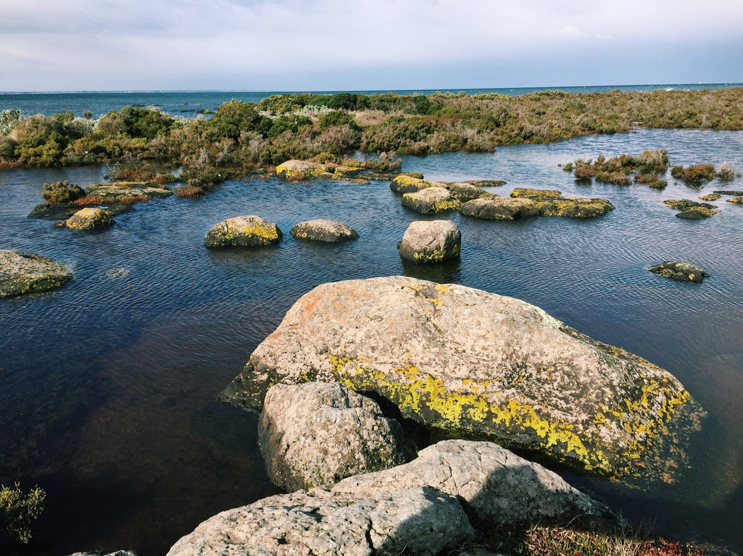 Jawbone Flora and Fauna Reserve景点图片