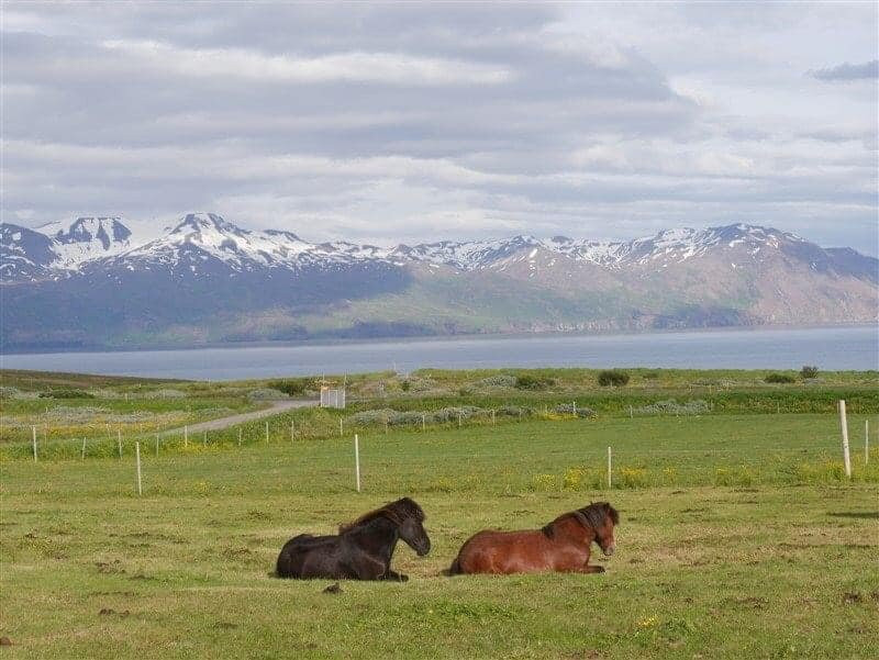 Saltvik Farm Guesthouse主图