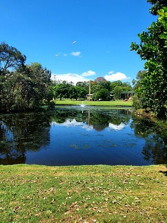 Lake Alford Park景点图片