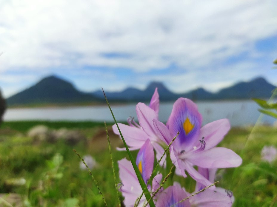 Jatiluhur Dam-Purwakarta必去景点