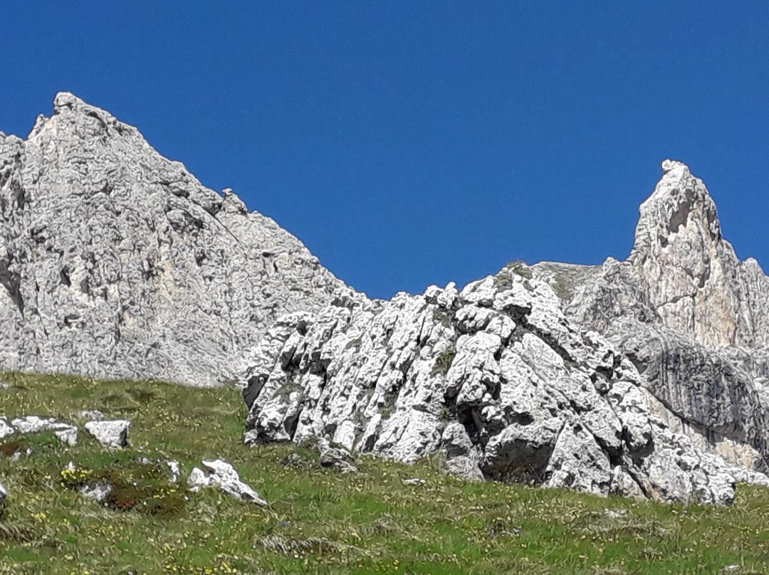 Schlern-Rosengarten / Sciliar-Catinaccio Nature Park景点图片