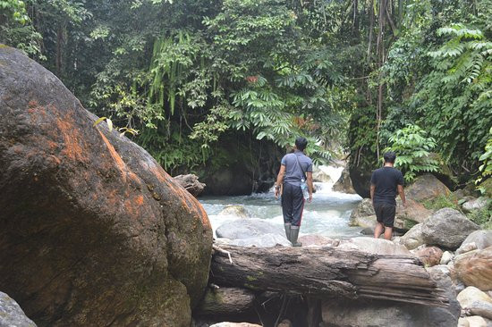 Ketambe Jungle Trekking With Alex-Ketambe必去景点