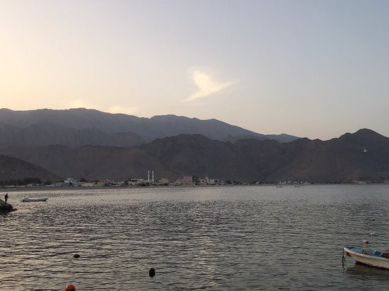 金色郁金香度假村主图