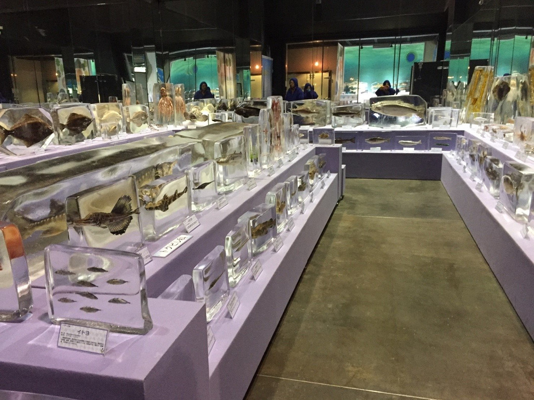 纹别市旅游景点-Okhotsk Sea Ice Museum of Hokkaido GIZA