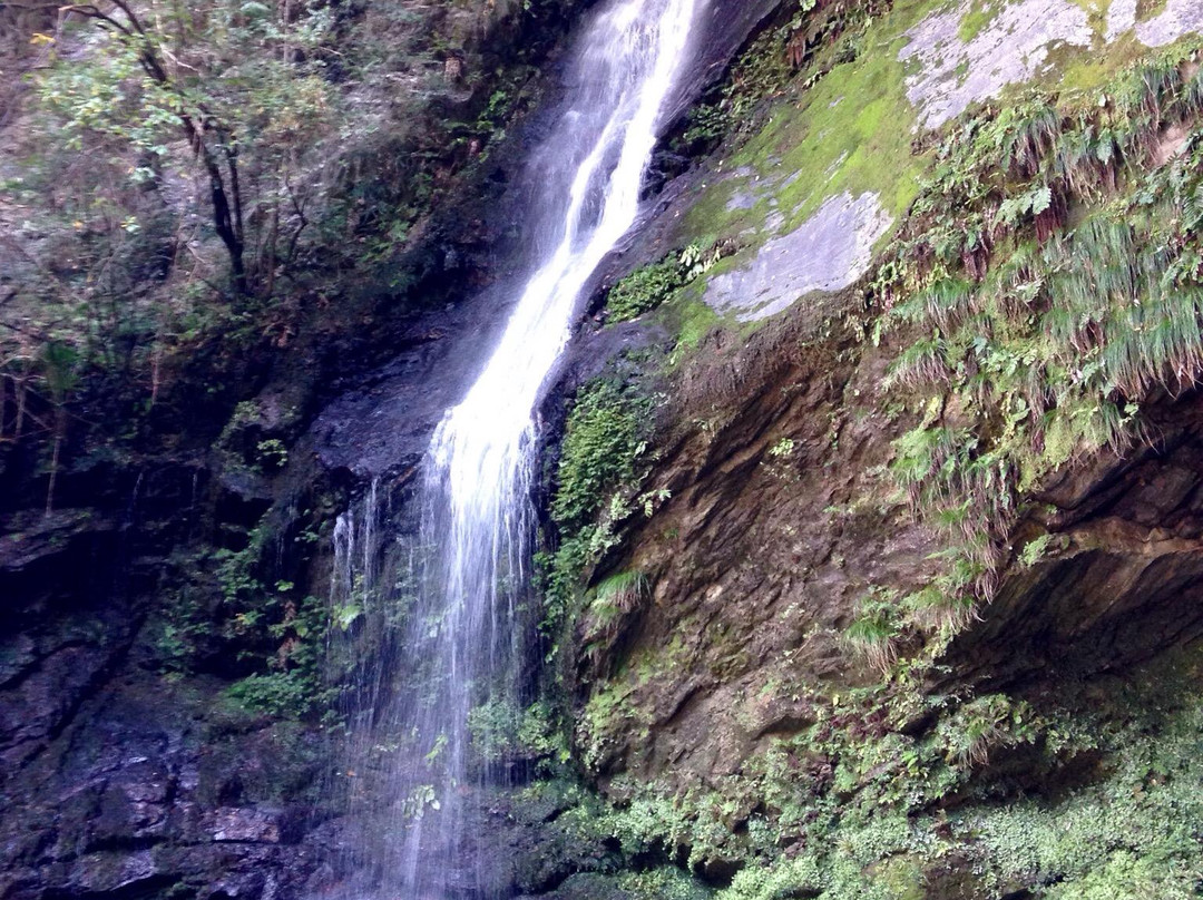 Biwa Waterfall-三好市必去景点