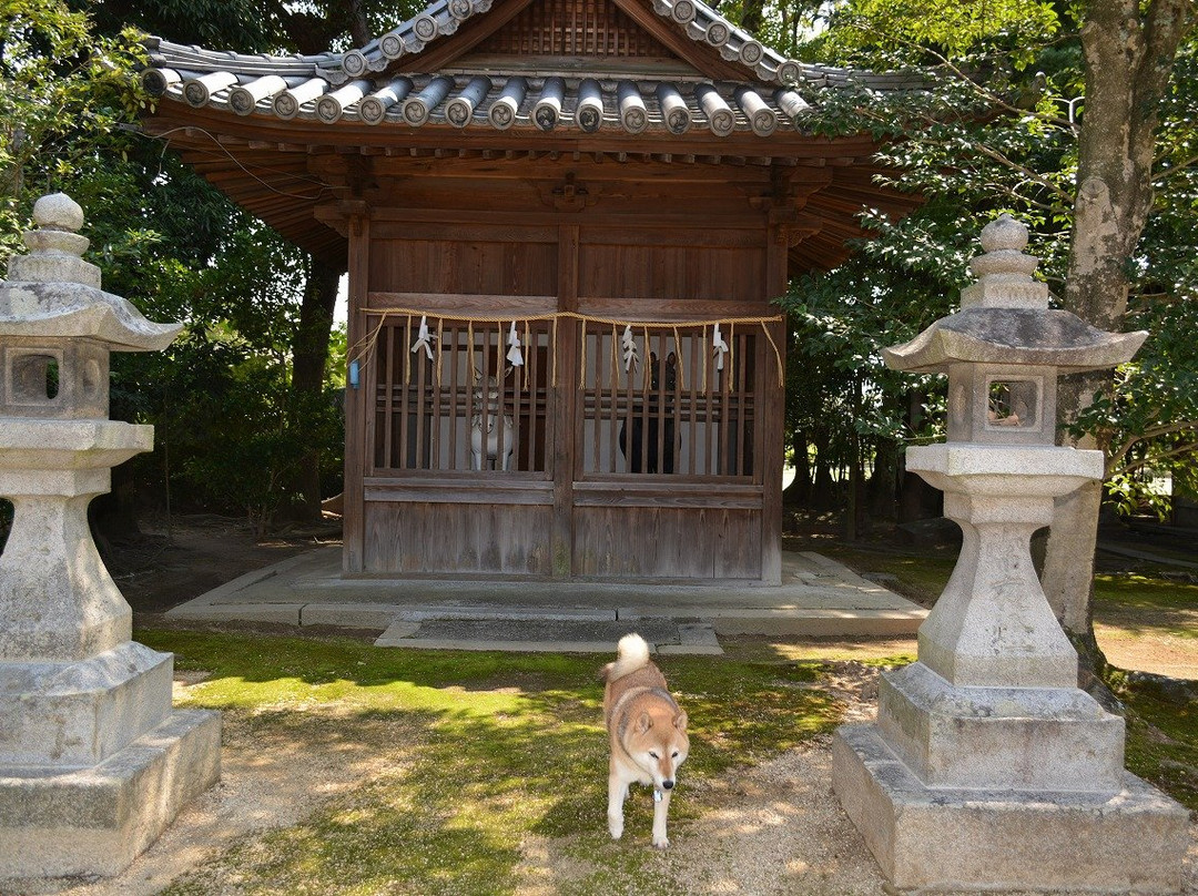 Yamanokita Hachiman Shrine景点图片