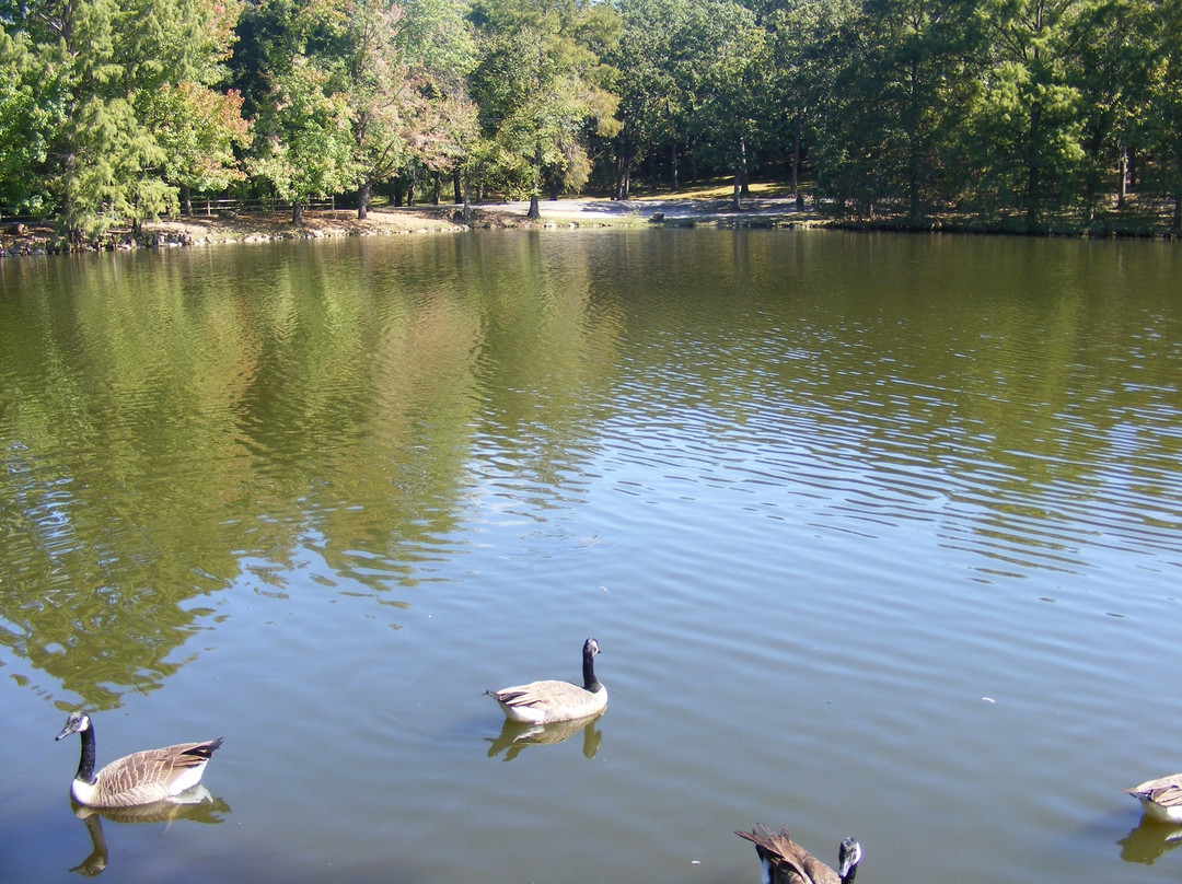 Dunnegan Memorial Park景点图片