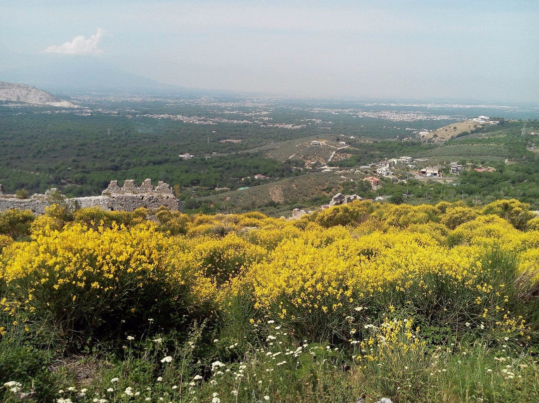 Avella旅游攻略图片