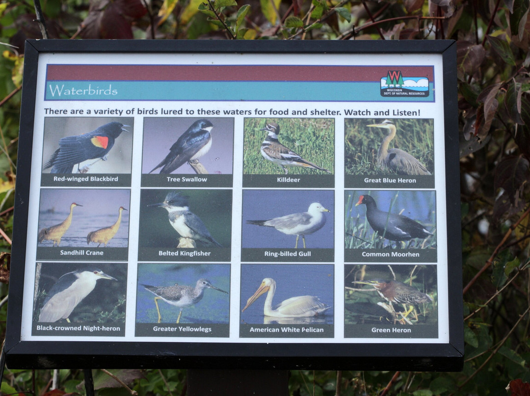 Browntown旅游攻略图片