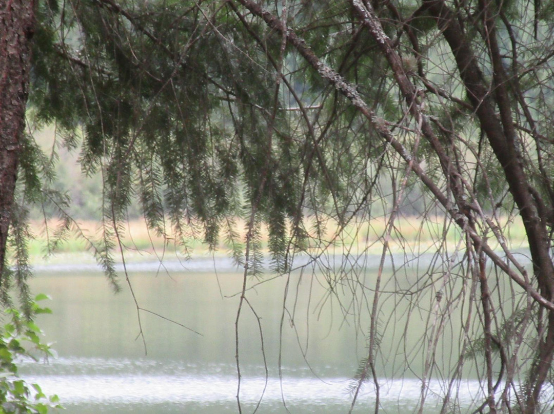 Round Lake State Park景点图片