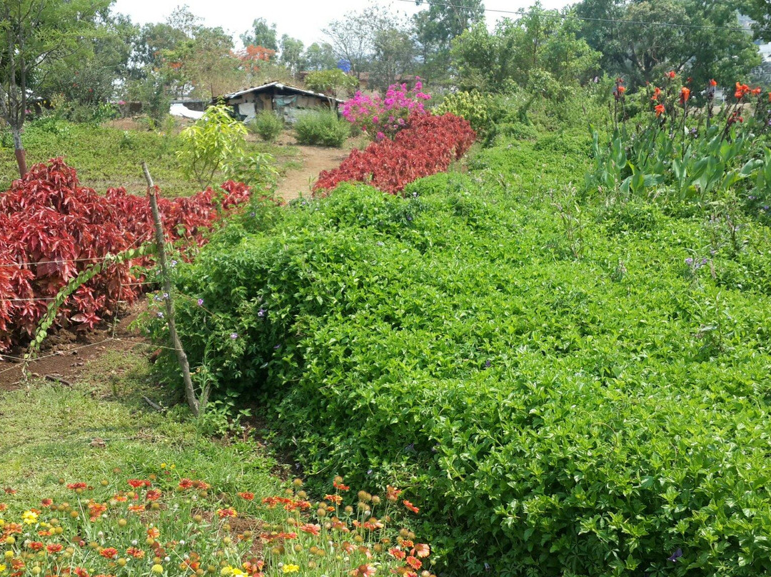 Rose Garden景点图片